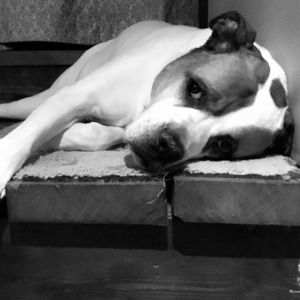 Meet your Posher, Summer